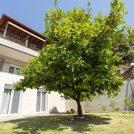 Fotini's House